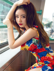 《欧美高清在线播放》
