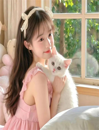 《辛德瑞拉的诡计》娱乐指数：观赏性与娱乐价值综合评价